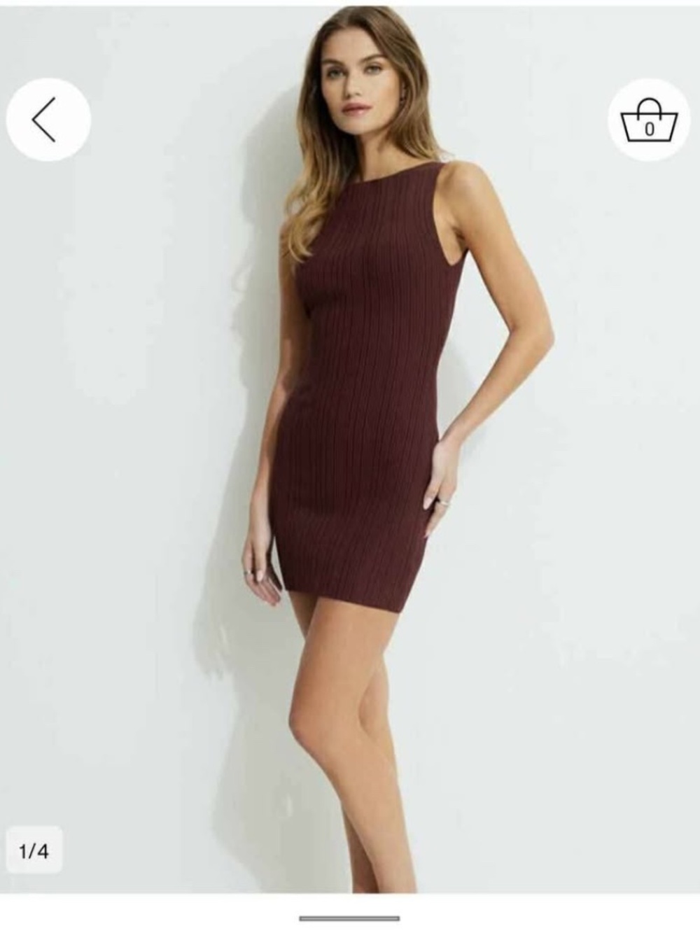 Burgundy Ribbed Sleeveless Bodycon Mini Dress